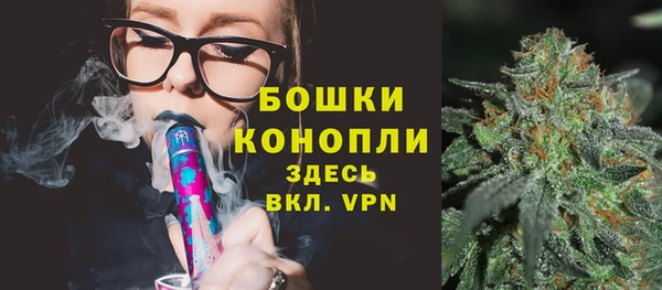 СК Аркадак